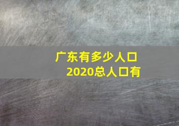 广东有多少人口2020总人口有