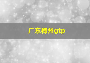 广东梅州gtp