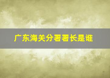 广东海关分署署长是谁