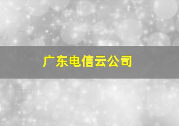 广东电信云公司