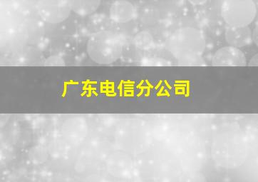 广东电信分公司