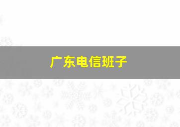 广东电信班子