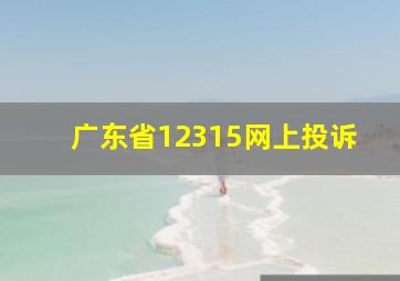 广东省12315网上投诉