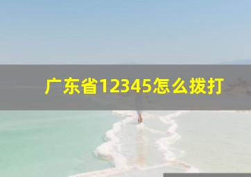 广东省12345怎么拨打