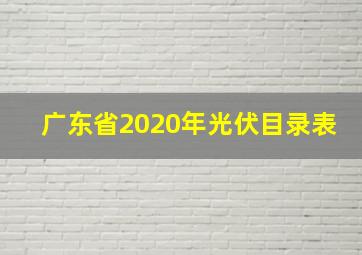 广东省2020年光伏目录表