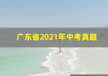 广东省2021年中考真题