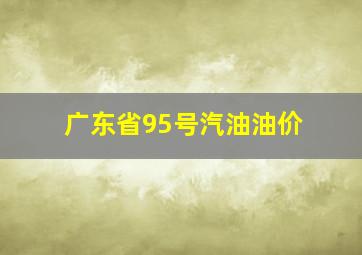 广东省95号汽油油价