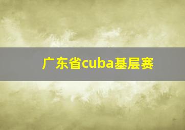 广东省cuba基层赛