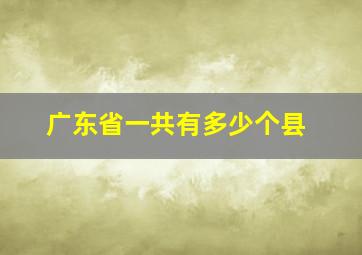 广东省一共有多少个县