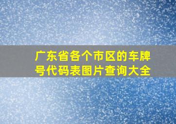 广东省各个市区的车牌号代码表图片查询大全