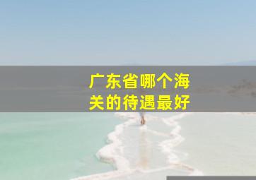 广东省哪个海关的待遇最好