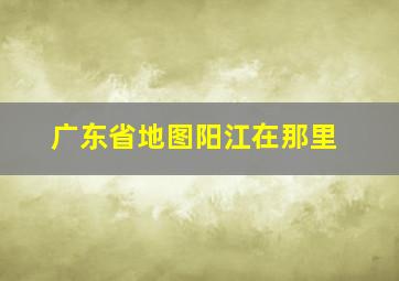 广东省地图阳江在那里