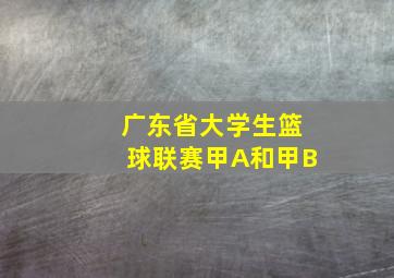 广东省大学生篮球联赛甲A和甲B