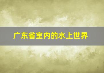 广东省室内的水上世界