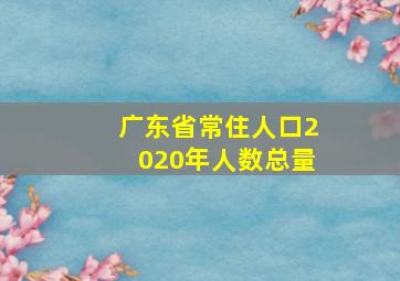 广东省常住人口2020年人数总量