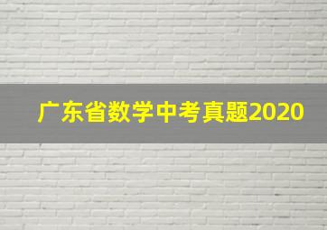 广东省数学中考真题2020