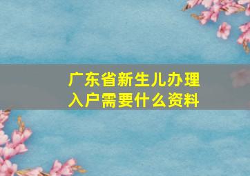 广东省新生儿办理入户需要什么资料