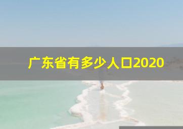 广东省有多少人口2020