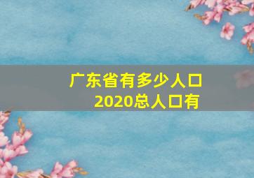 广东省有多少人口2020总人口有