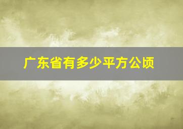 广东省有多少平方公顷