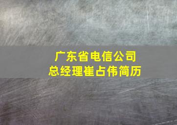 广东省电信公司总经理崔占伟简历