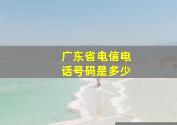 广东省电信电话号码是多少