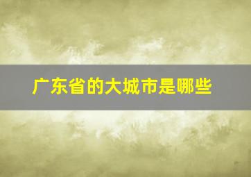 广东省的大城市是哪些