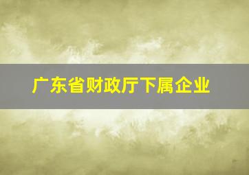 广东省财政厅下属企业