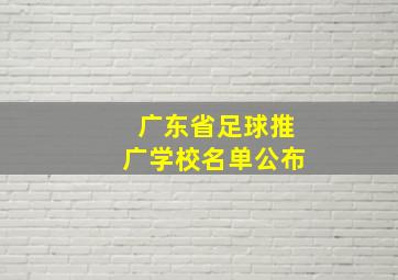 广东省足球推广学校名单公布