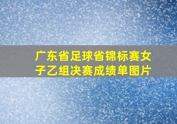 广东省足球省锦标赛女子乙组决赛成绩单图片