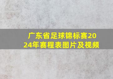 广东省足球锦标赛2024年赛程表图片及视频