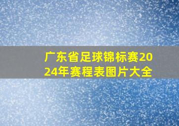 广东省足球锦标赛2024年赛程表图片大全