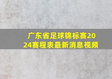 广东省足球锦标赛2024赛程表最新消息视频