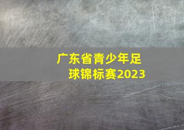 广东省青少年足球锦标赛2023