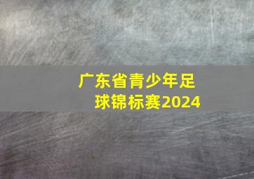 广东省青少年足球锦标赛2024