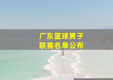 广东篮球男子联赛名单公布