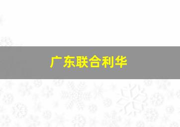 广东联合利华