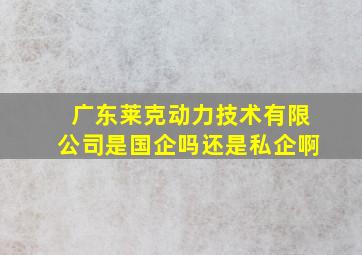 广东莱克动力技术有限公司是国企吗还是私企啊