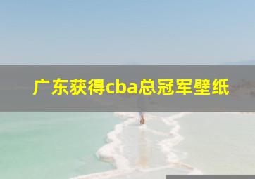 广东获得cba总冠军壁纸