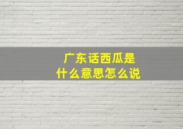 广东话西瓜是什么意思怎么说