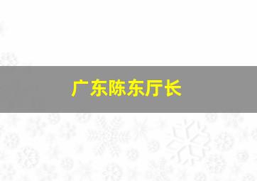 广东陈东厅长