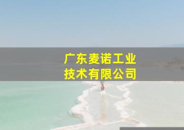 广东麦诺工业技术有限公司