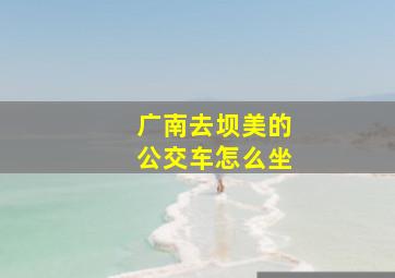 广南去坝美的公交车怎么坐