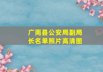 广南县公安局副局长名单照片高清图