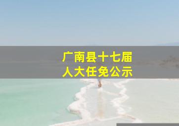 广南县十七届人大任免公示