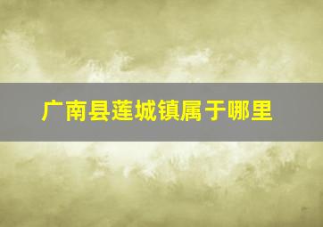 广南县莲城镇属于哪里