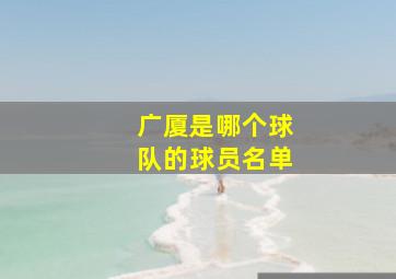 广厦是哪个球队的球员名单