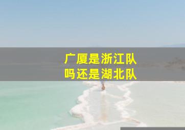 广厦是浙江队吗还是湖北队