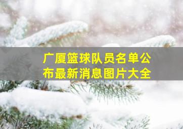 广厦篮球队员名单公布最新消息图片大全