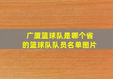 广厦篮球队是哪个省的篮球队队员名单图片